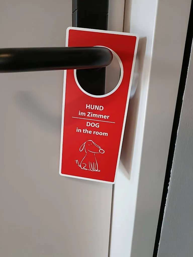 Lukas Jecny_Saline1822_Rappenau_recensione