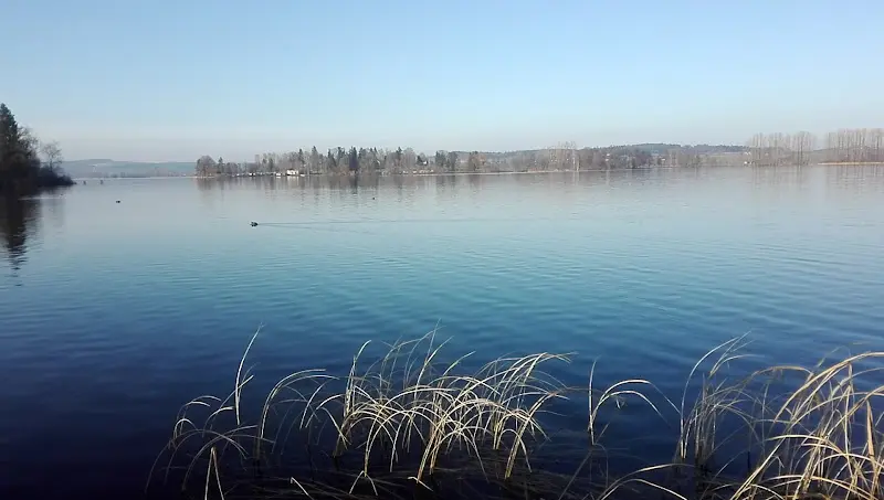 Seealm Waging_See_slider_image_2