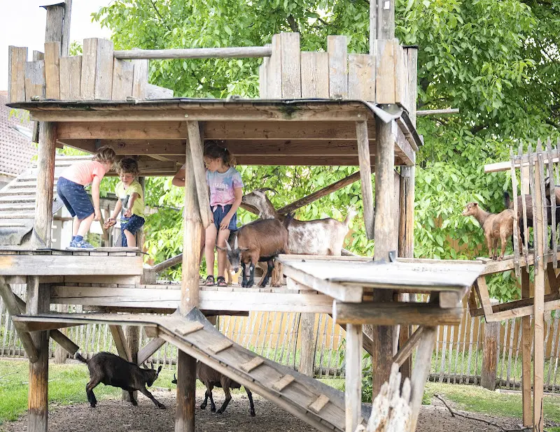 Hofgut Bäldleschwaige_Tapfheim_slider_image_1