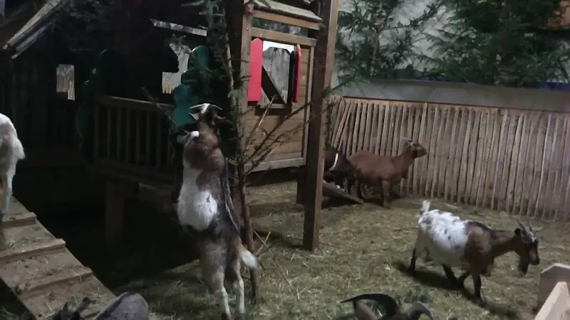 Hofgut Bäldleschwaige_Tapfheim_slider_image_2