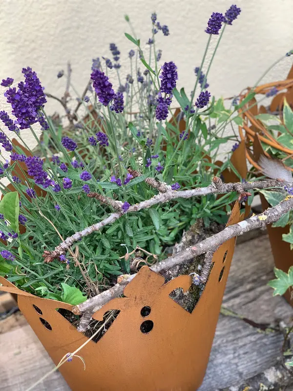 Hotel - Restaurant Zu den Drei Kronen_Donauwörth_slider_image_3