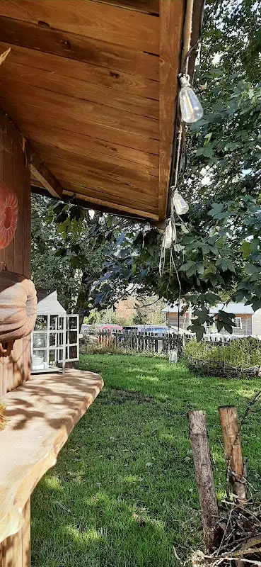 Jacqueline Gräfe_Wildberg Café - Stefanie Traut_Tettau_review