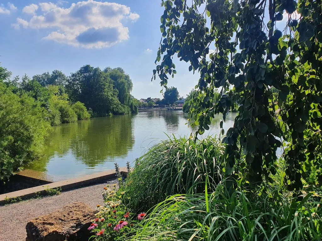 Kurpark ristorante a Rappenau