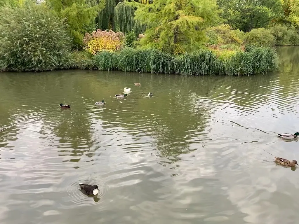 Kurpark_Rappenau_slider_image_2