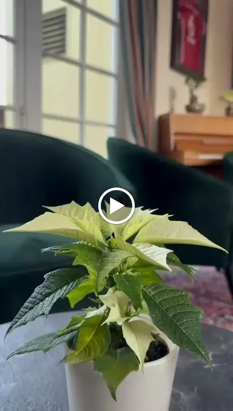 Limmerhof Hotel_Taufkirchen_slider_image_2