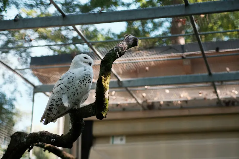 Matze B._Wild- und Freizeitpark Höllohe_Teublitz_review