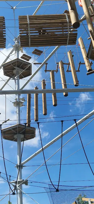 Vernon “hollywood” Cole_Erlebnisholzkugel_See_review