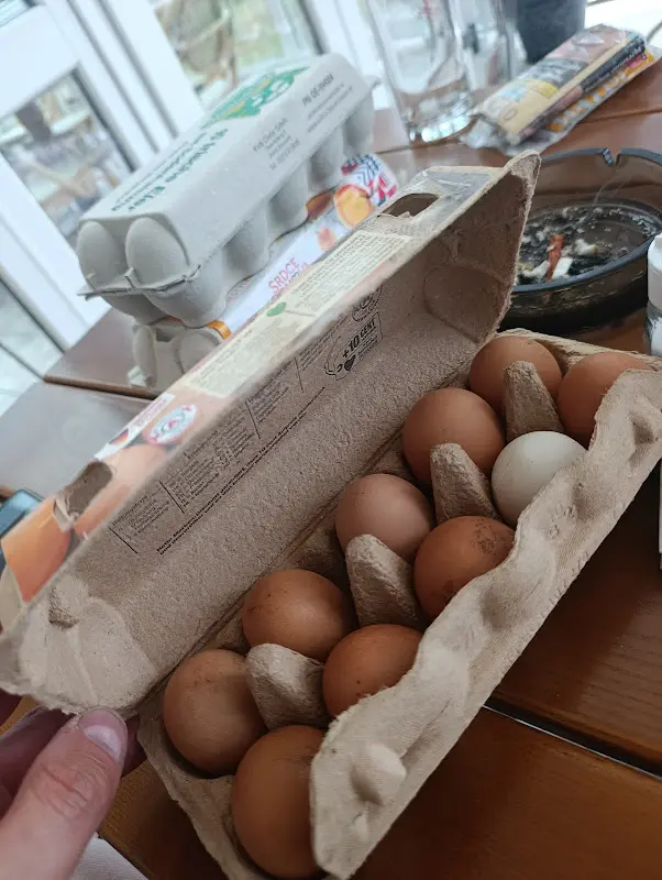 Comănescu Valentin_Restaurant La Antonia_Theisseil_Bewertung