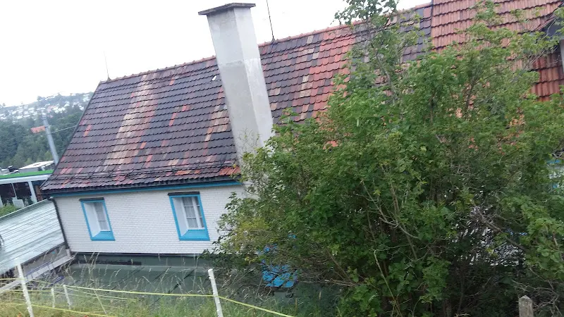 Rebstock_Trogen_slider_image_2