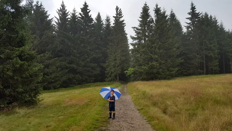 Lorelei Petry_Seehaus Fichtelgebirge - Monika Steiner & Berthold Hübner_Tröstau_recensione