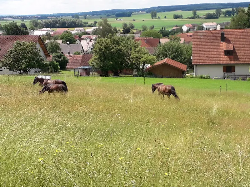 Restsurant Cafe Berghof_Tussenhausen_slider_image_3