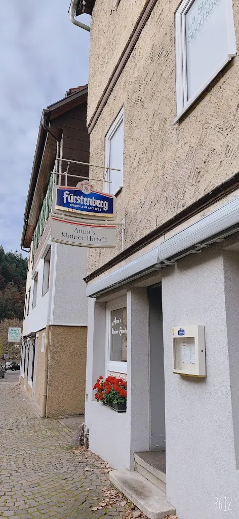 Sunny Lu_Anna's kloiner Hirsch_Wildbad_review