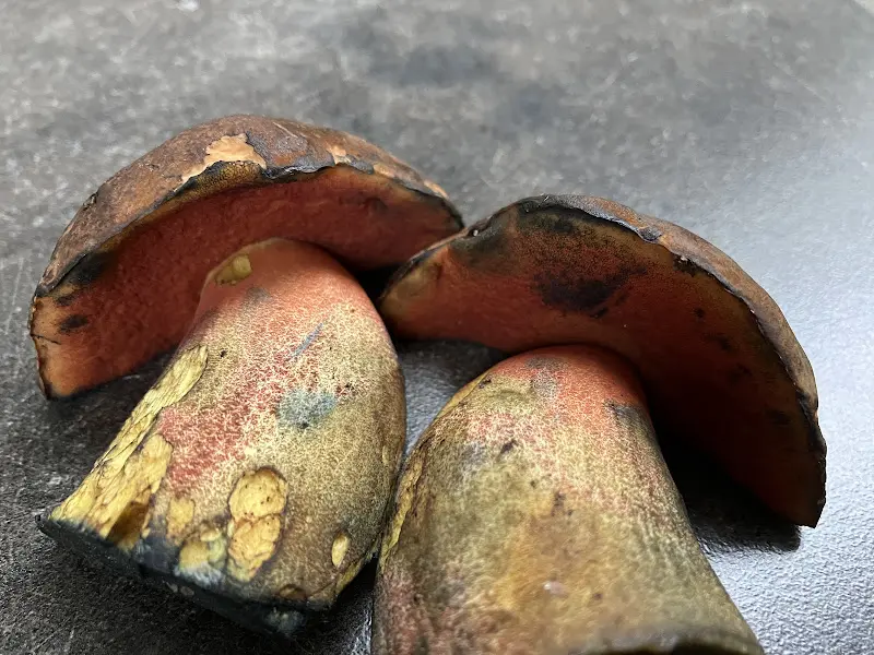 Baumann's/Morgenroth_Untermerzbach_slider_image_3