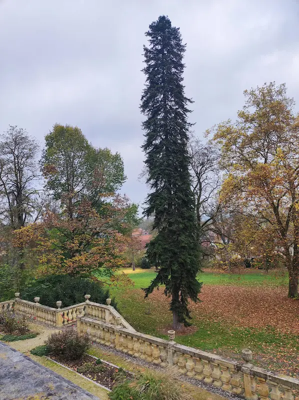 Schloss Untermerzbach_Untermerzbach_slider_image_3