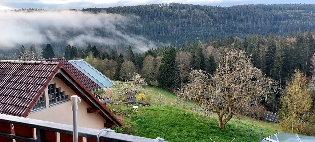 Bernd Kerschek_Schwarzwaldhotel-Gasthof Hirsch_Wildbad_review