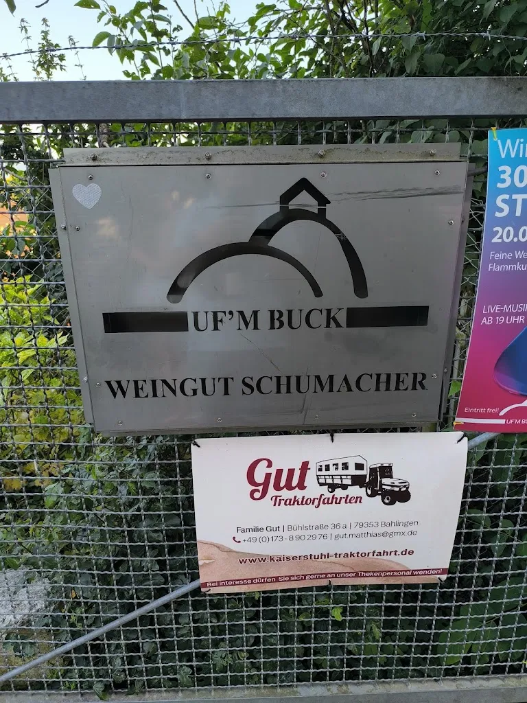 Alexander Borgert_Restaurant uf'm Buck_Kaiserstuhl_review