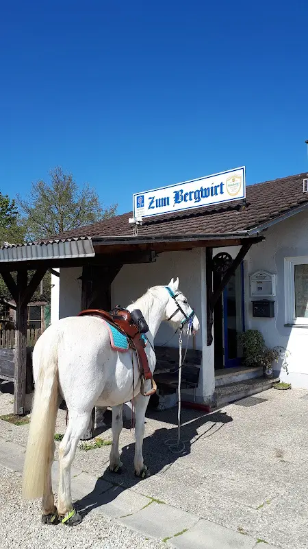 pegasus adlkofen_Zum Bergwirt Inh. Stefan Polak_Vilsbiburg_recensione
