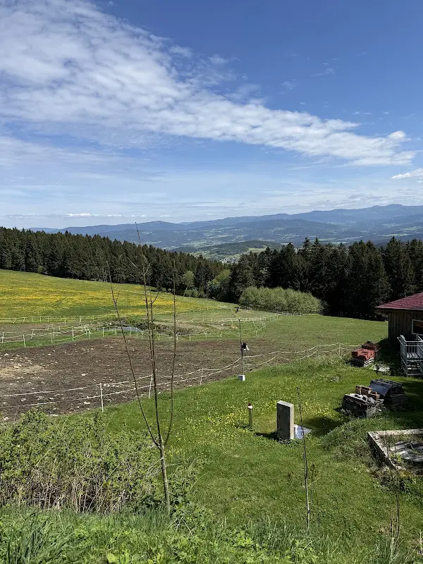 Berggasthof Hinterwies_Englmar_slider_image_3