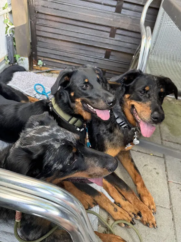 Katja Herschke_Ristorante Pizzeria Da Cosimo_Vöhringen_review