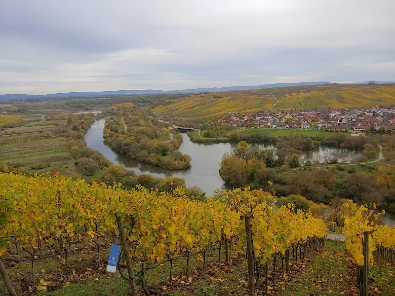 Balazs Kiss_Hotel & Restaurant Vogelsburg Volkach - Einkehren. Besinnen. Genießen._Volkach_recensione