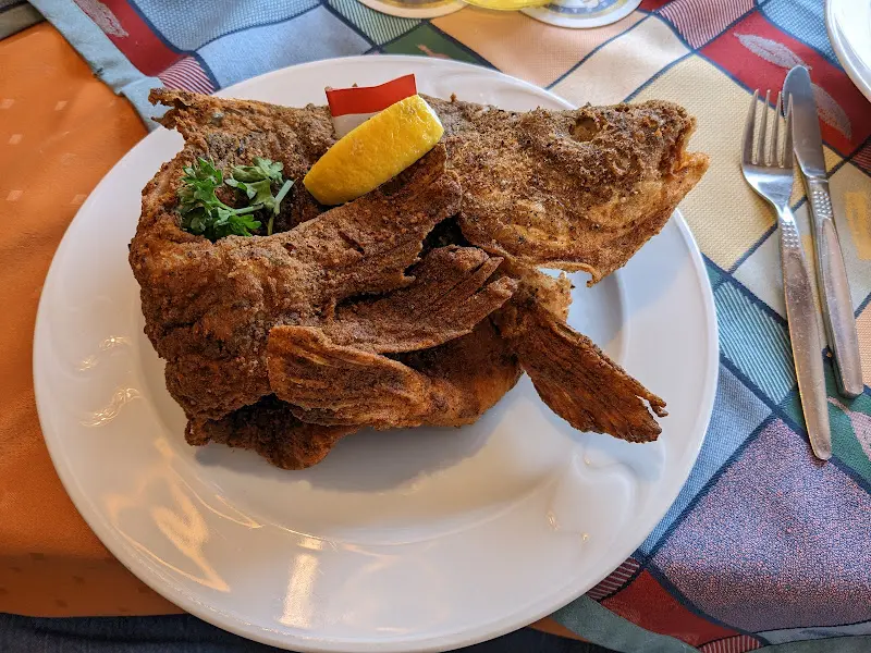 Carsten Goldbach_Grüner Baum_Wachenroth_review