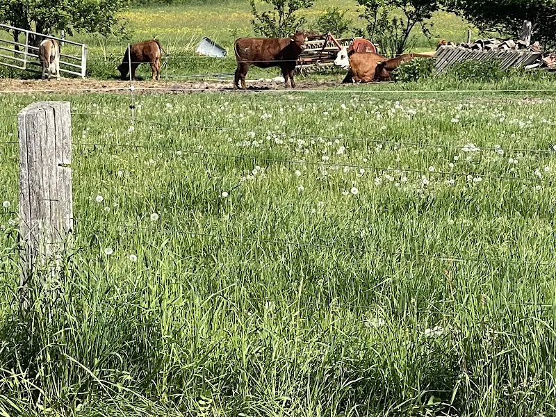 Kleinwachenrother Mühle_Wachenroth_slider_image_2