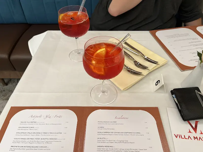 Menu_Villa Martino Waldshut_Waldshut-Tiengen_imagen_2