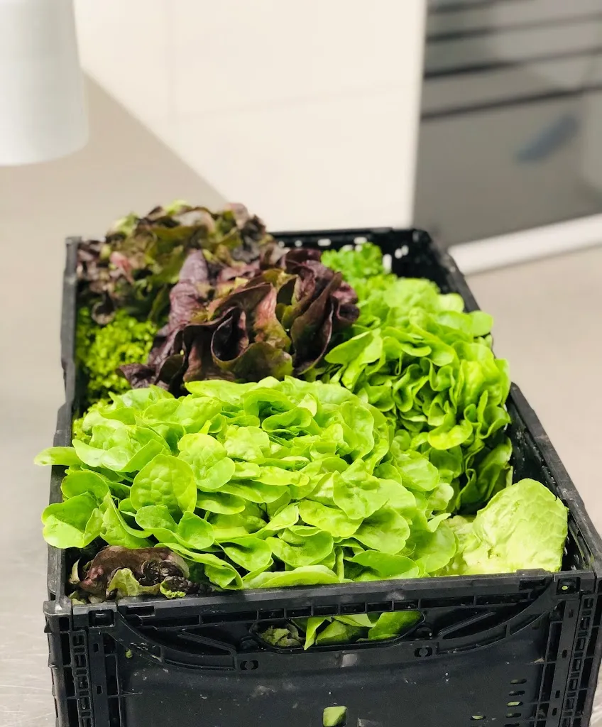 Menu_Clubrestaurant FC Bammental_Bammental_image_9