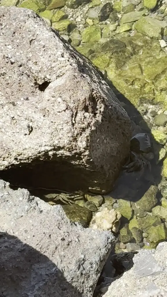 Patricia Rocha_LECAFE Aegina | Restaurant - Café_Aegina_Bewertung