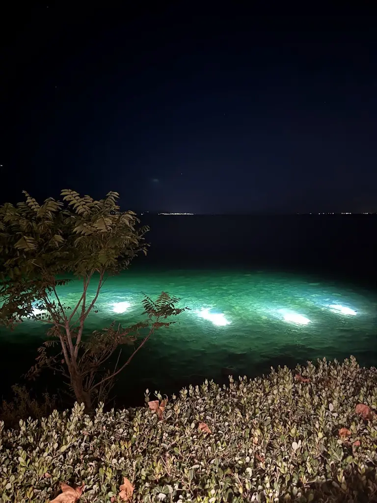 Mihail Gaydarov_Notos Lounge_Voúla_review