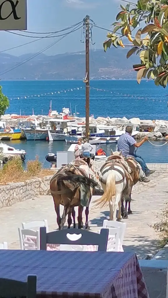 Taverna Christina_Ýdra_slider_image_2