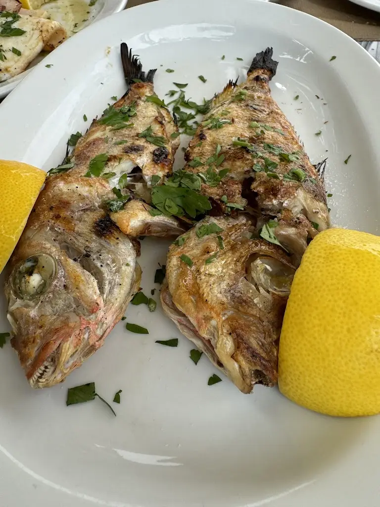 Menü_YIASEMI_Aidipsós_Bild_6