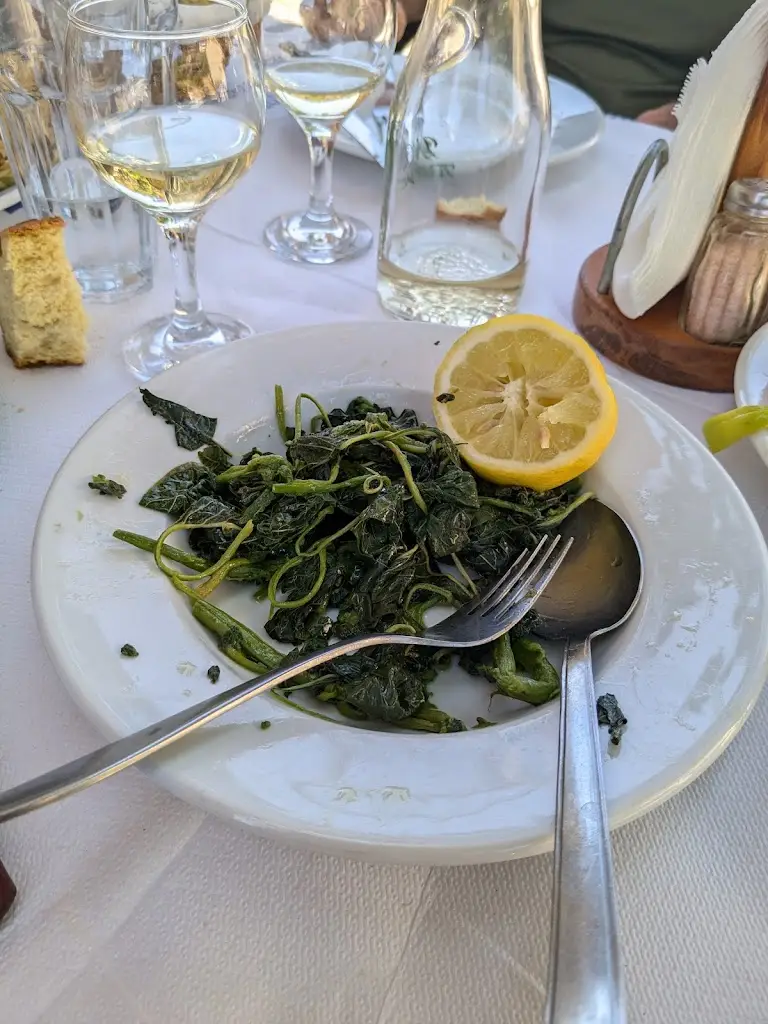 Maya Fischer_Αλίνα - Alina_Aidipsós_Bewertung