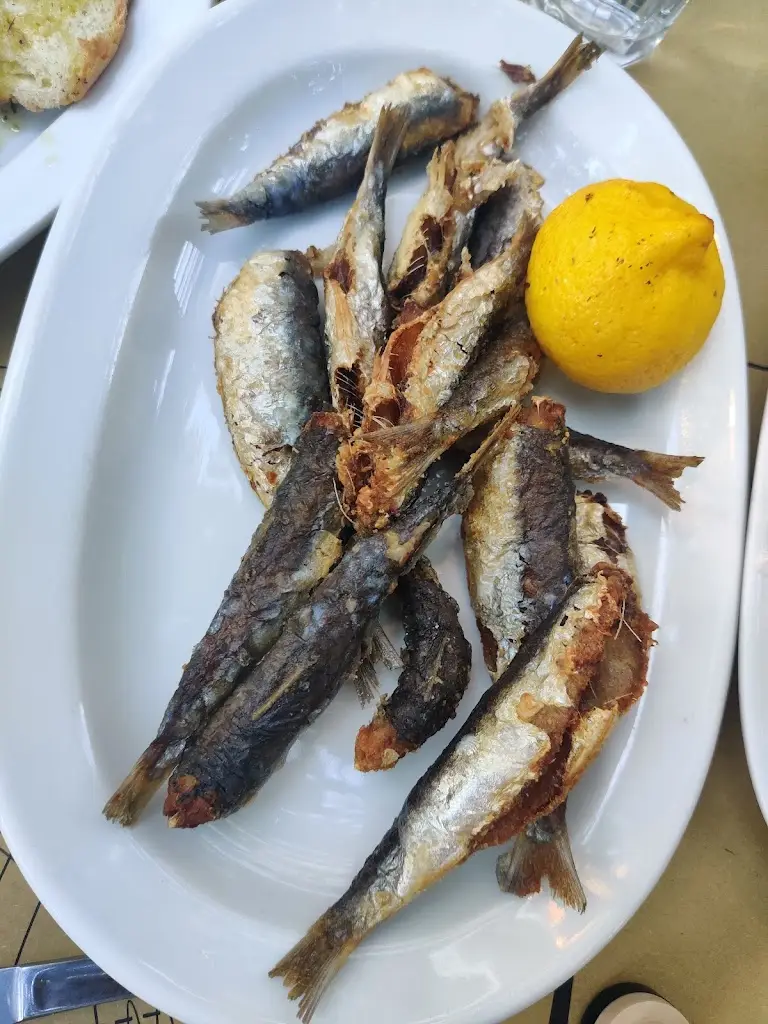 Menü_Goudiotiko Tsipouradiko_Zográfos_Bild_4