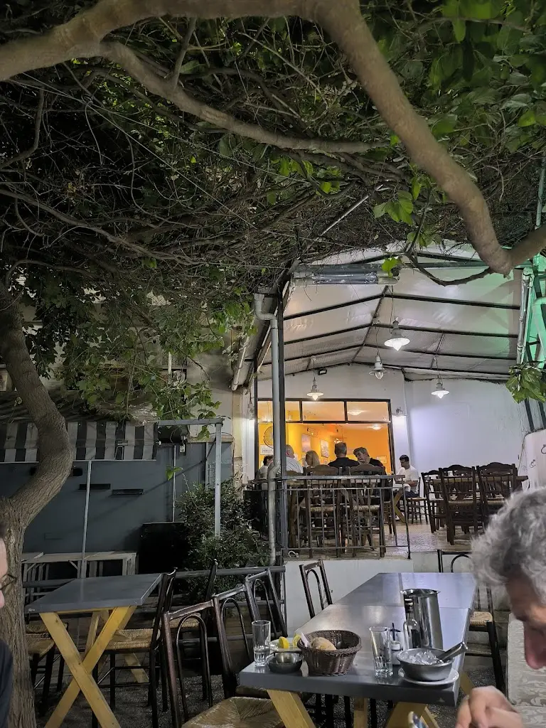 Ουζερί Διχτάκι Restaurant in Zográfos