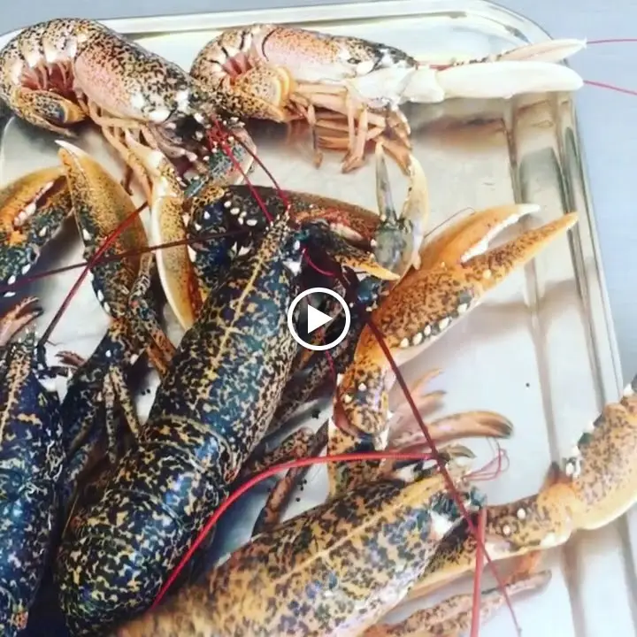 Η ΚΥΡΑ ΛΕΝΗ_Akraifnía_slider_image_2