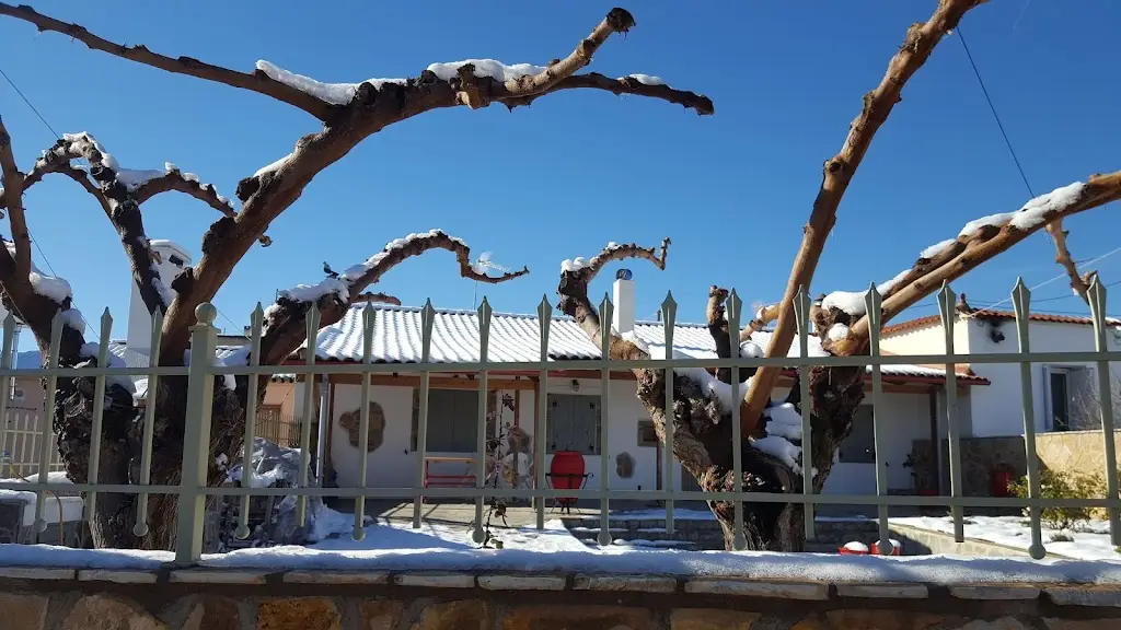 Ταβέρνα Μενέλαος Restaurant in Akraifnía