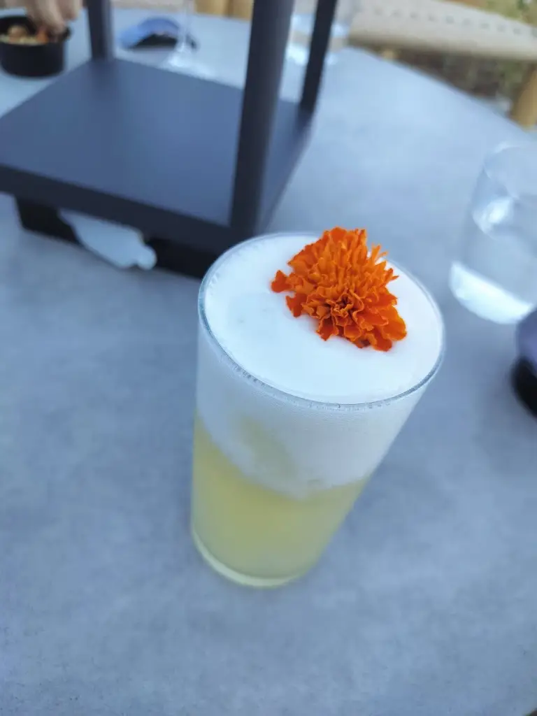 Menu_Novus Island_Alivéri_image_6