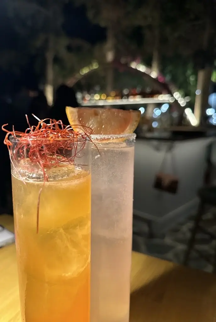 Menu_Novus Island_Alivéri_image_7