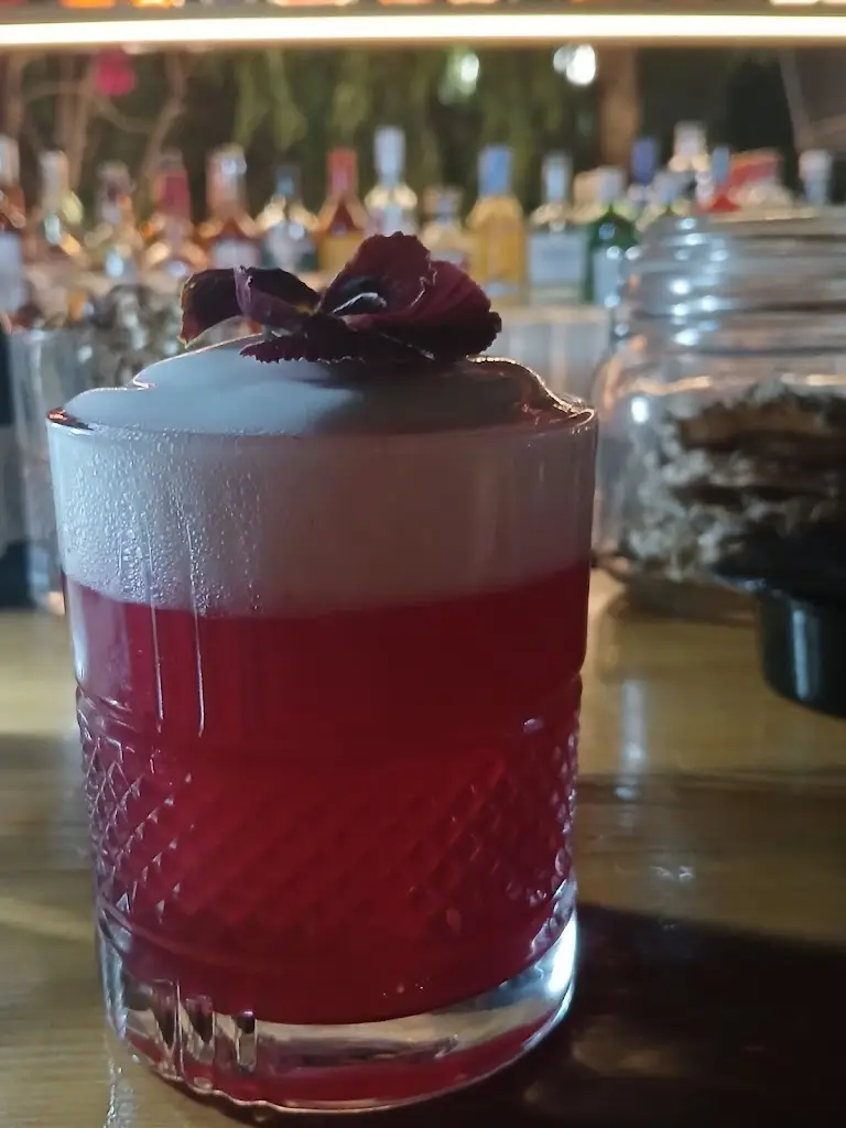 anna pao_Novus Island_Alivéri_avis