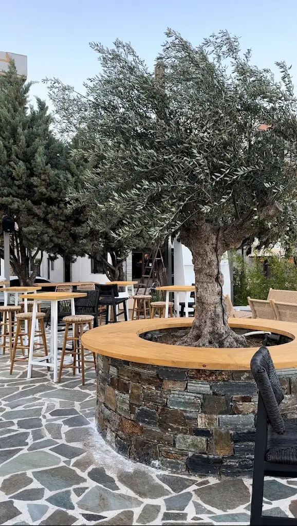 Novus Island_Alivéri_slider_image_1