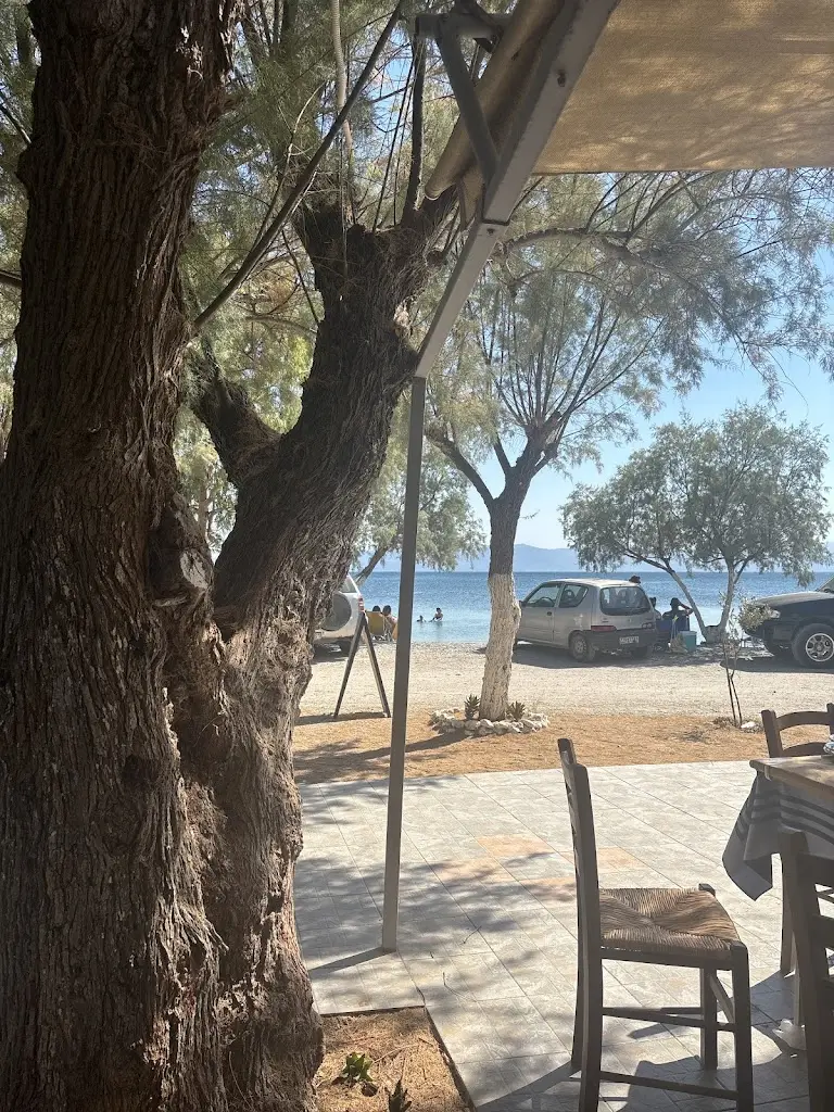 Georgi Georgiev_Ταβέρνα Ακρογιάλι_Alivéri_Bewertung