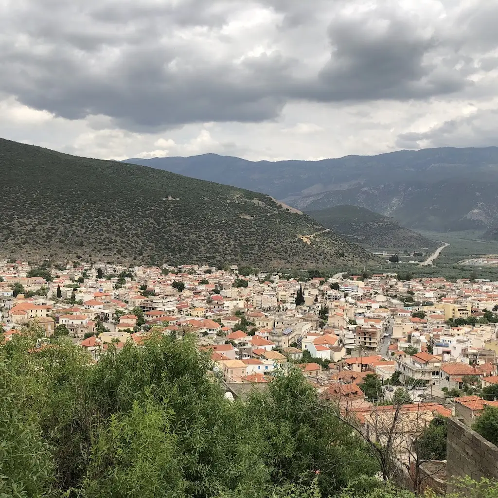 Gerasimos Tsepas_Polychoros Xarmaina_Ámfissa_review