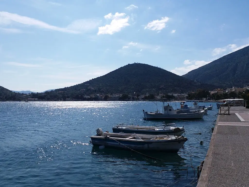 Stephanie Anastasakis_Ψαροταβέρνα ΒΑΛΑΟΥΡΑΣ_Antikyra_avis