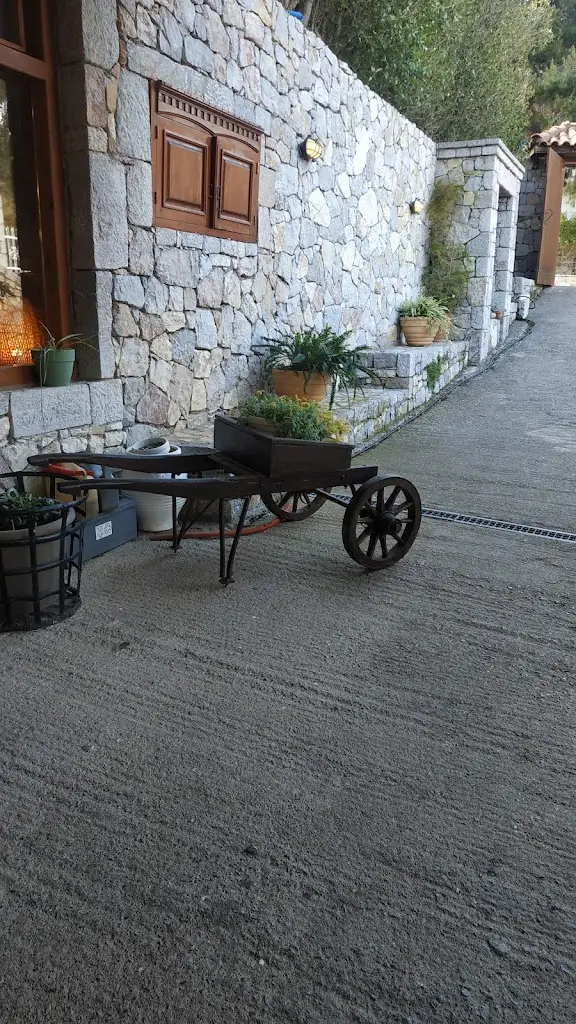 Ioanna Mpasiouka_Paliomilia_Antikyra_Bewertung