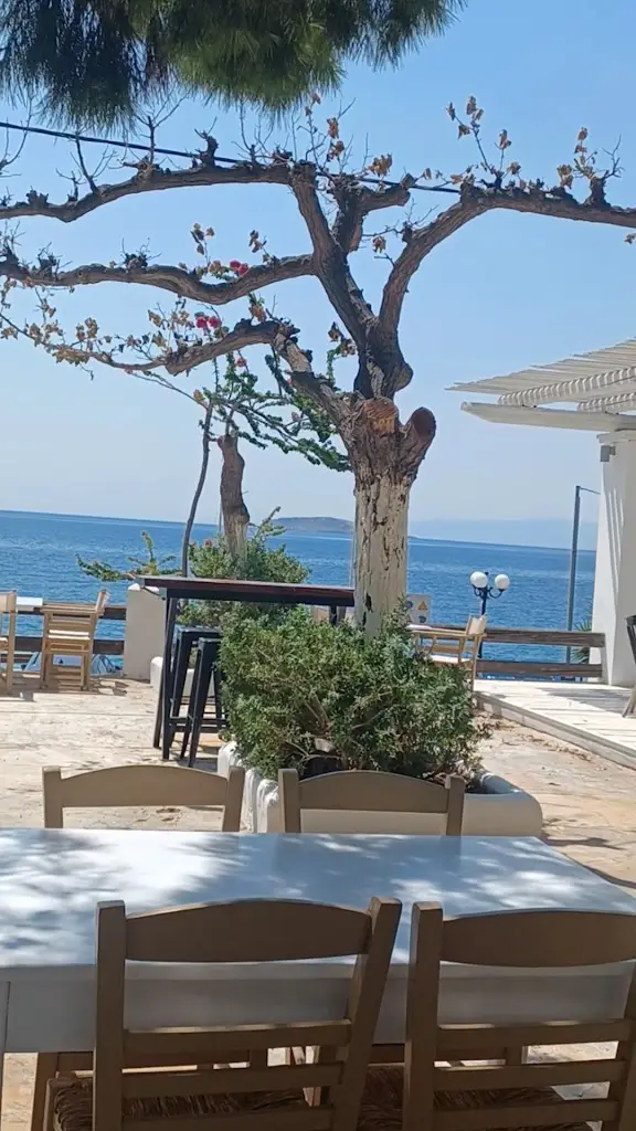 Κτήμα Σπανού_Antikyra_slider_image_2