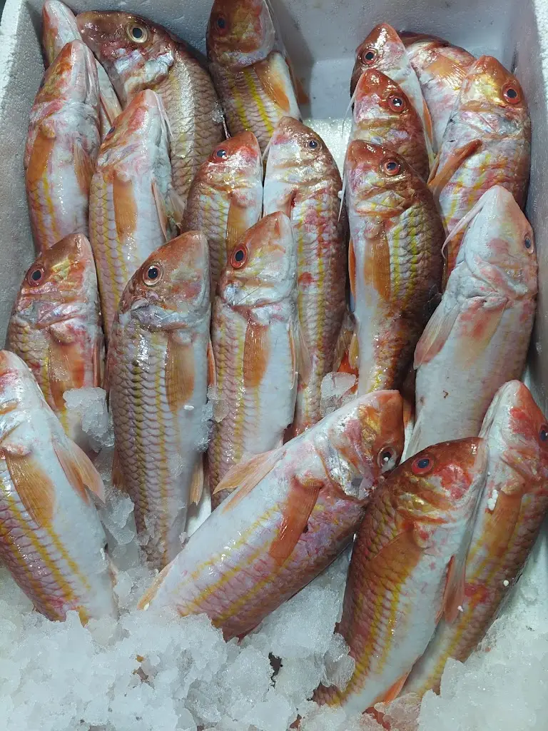 Menü_Παναγιά η Θαλασσινή_Áno Liósia_Bild_4