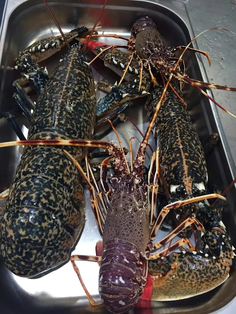 Menü_Παναγιά η Θαλασσινή_Áno Liósia_Bild_6