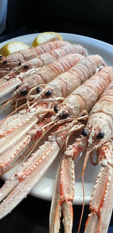 Menü_Tsaf_Chalkída_Bild_8