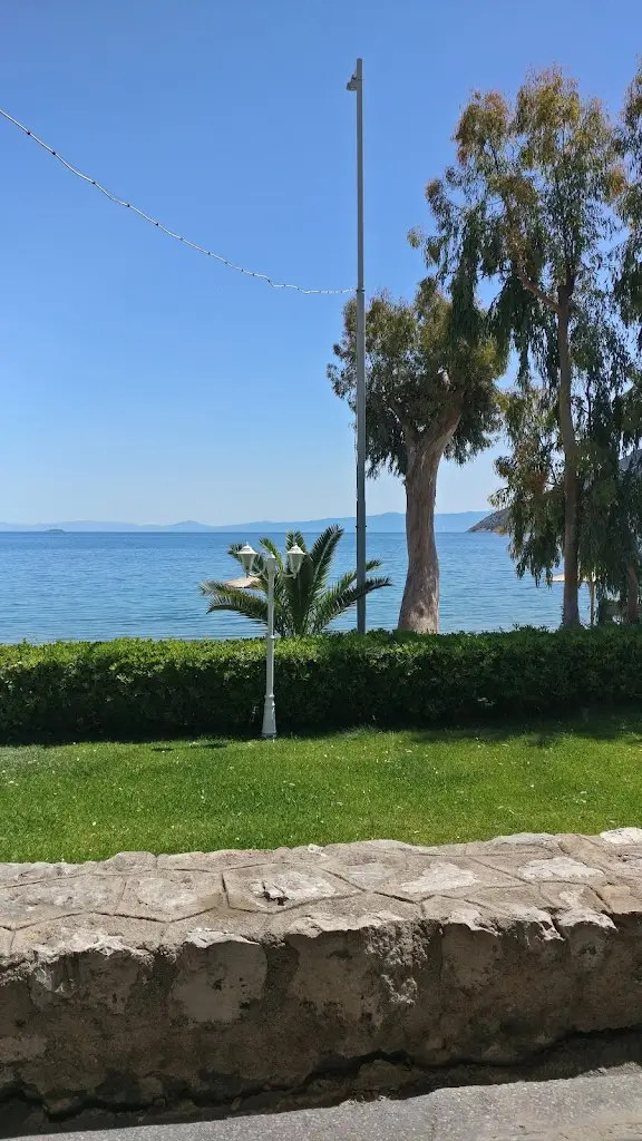 Akis Karadimos_Peroquet_Dístomo_review